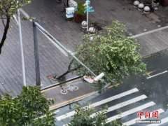 “桦加沙”叠加天文大潮,这些城市需警惕海